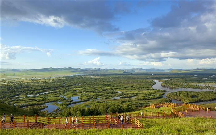 Rio da raiz, parque nacional do pantanal, cenário da natureza Visualizações:8787