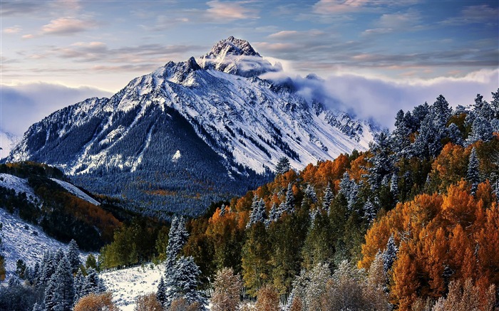 Sneffels, montanha, árvores, floresta de inverno, paisagem Visualizações:12466