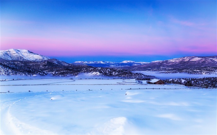 Winter Scenic Landscape Purple Snowland Views:11510 Date:2019/9/5 6:09:28