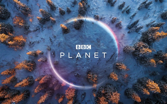 BBC, Planeta, Bosque, Invierno, 2019, Alta calidad Vistas:6111