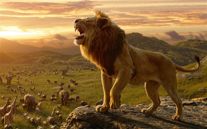 Simba, El Rey León, 2019, alta calidad Vistas:18091