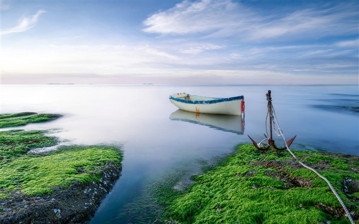 海岸、苔状、岩、ボート、2019、風景、写真 ブラウズ:8084