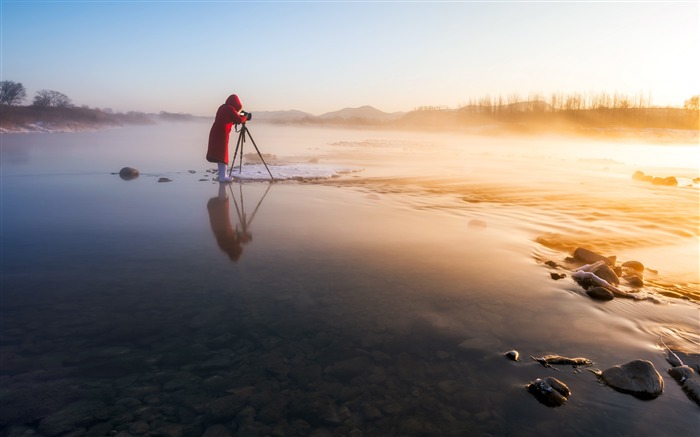 Hiver, jungle, rivière, matin, brume, photographie Vues:7925