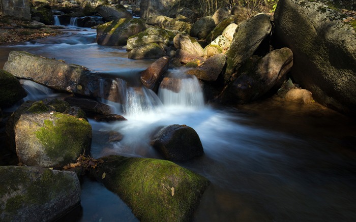 Summer jungle stream Sunshine 2019 Landscape Photo Views:8899 Date:2019/12/6 5:29:13