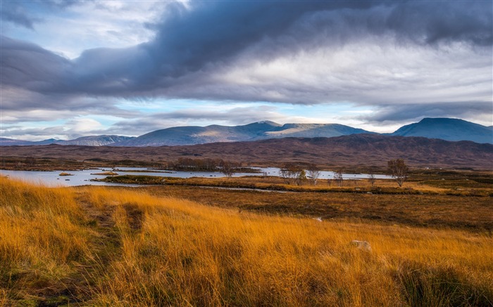 Otoño, montañas, hierba, lago, 2020, naturaleza, paisaje, foto Vistas:8686