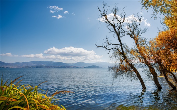 Outono, céu azul, lago, 2020, Natureza, Cenário, Foto Visualizações:15726