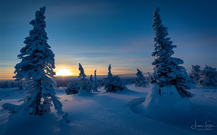 Riisitunturi, Inverno, Finlândia, 2020, Natureza, Cenário, Foto Visualizações:10935