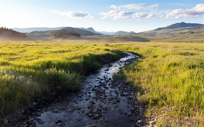 Arroyo, Hierba, Montañas, 2020, Naturaleza, Paisaje, Foto Vistas:7787