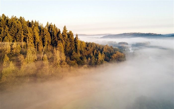 Outono, Selva, Nevoeiro, 2020, Natureza, Cenário, Foto Visualizações:9138