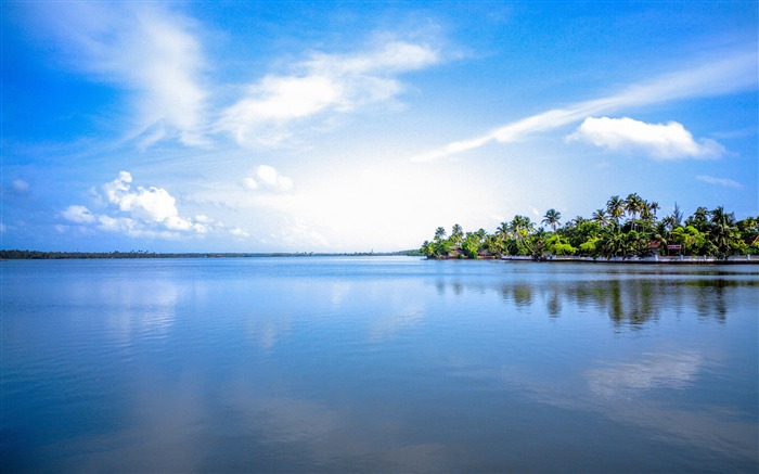 Isla de viajes, palmeras, 2020, naturaleza, HDR, fotografía Vistas:7844