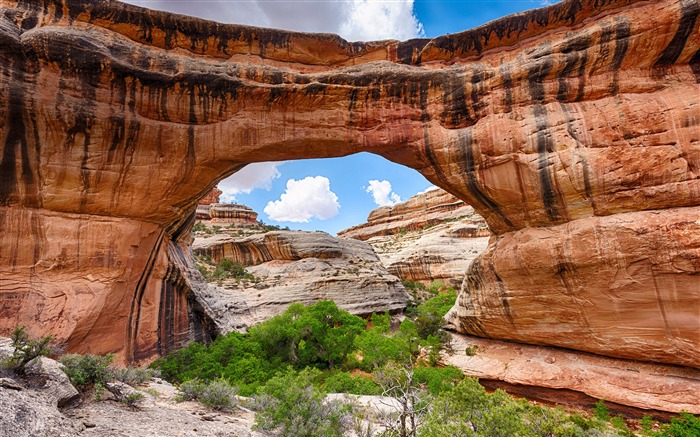 Utah, Puente Sipapu, 2020, Bing, Escritorio Vistas:7589