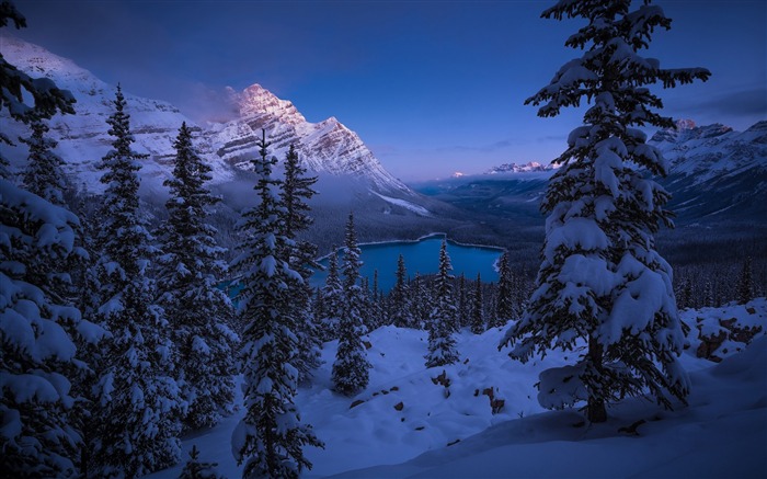 Winter Banff National Park Spruce 2020 Travel Scenery Photo Views:7739 Date:2020/4/14 6:07:32