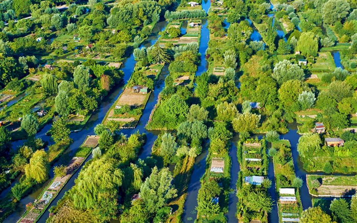 France Bourges swamp 2020 Bing Desktop Views:8734 Date:2020/5/14 8:43:46