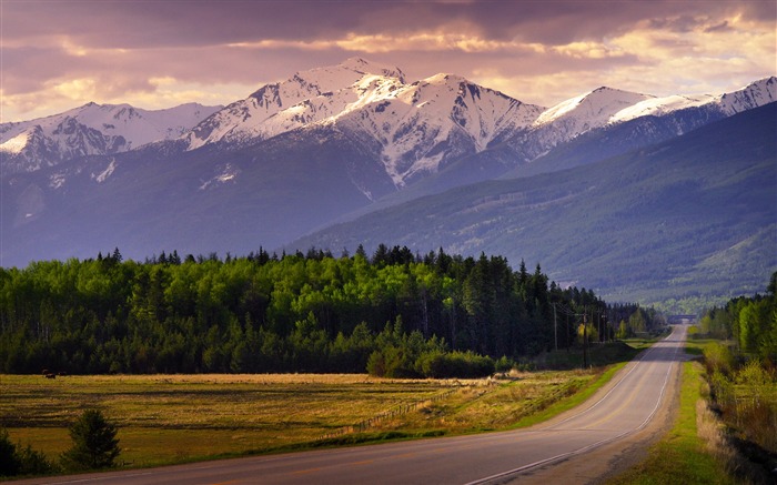 Jasper National Park Canada 2020 Scenery HD Photography Views:10212 Date:2020/5/7 6:32:57