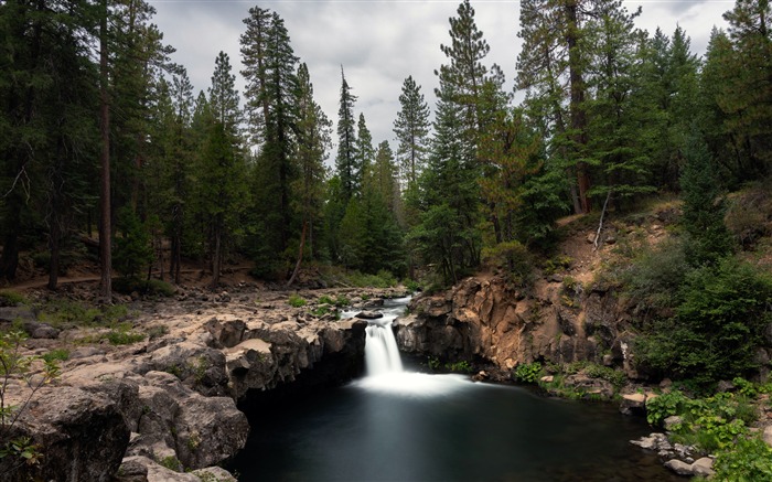 Selva, Cascada, Rocas, 2020, Naturaleza, Paisajes, Foto Vistas:10236