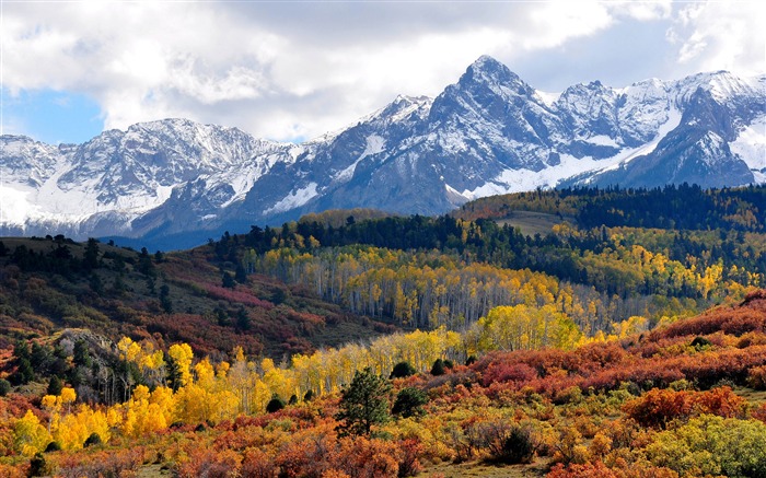 雪山、森、2020年、風景、HDR写真 ブラウズ:8451