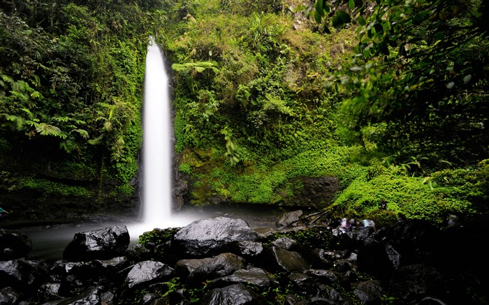 Selva Tropical, Cascada, 2020, Paisaje, Foto 4K Vistas:8572