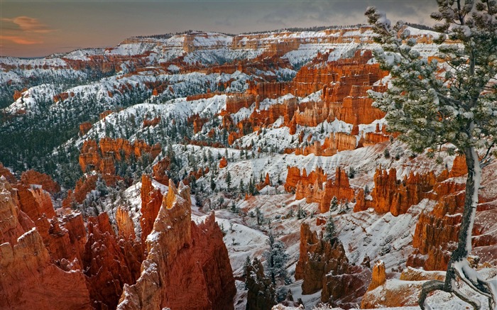 Parc national de Bryce Canyon, Utah, 2021, Bing, HD, Bureau Vues:6951