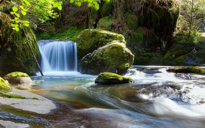 Jungle Stream, 2021, primavera, sol, foto HD Vistas:7897