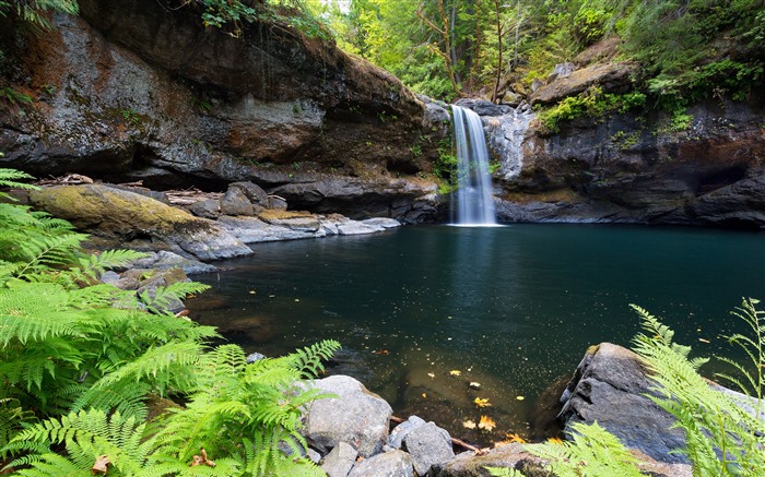 Jungle Waterfalls 2021 Spring Scenery Photo Views:8841 Date:2021/2/20 2:13:53