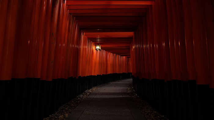 日本京都，2021年，紅色通道，5K，高清，照片 查看次數:8299