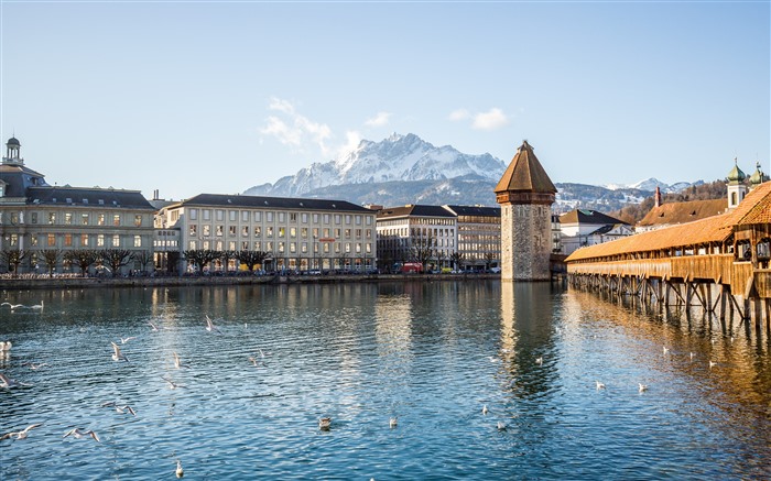 Pont Kabel, Lucerne, Suisse, 2021, Voyage, HD, Photographie Vues:7865