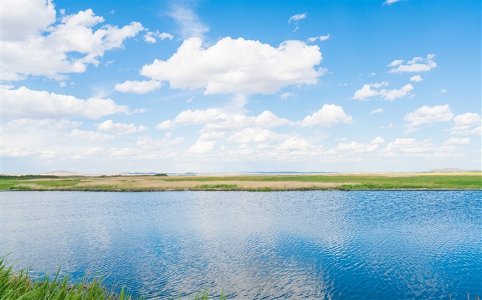 été,Prairie,Lac,2021,Paysage,5K,Photo Vues:9733