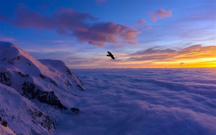 Eagle Chamonix Mont Blanc 2021 France 4K Photo Views:9492 Date:2021/9/24 18:51:07