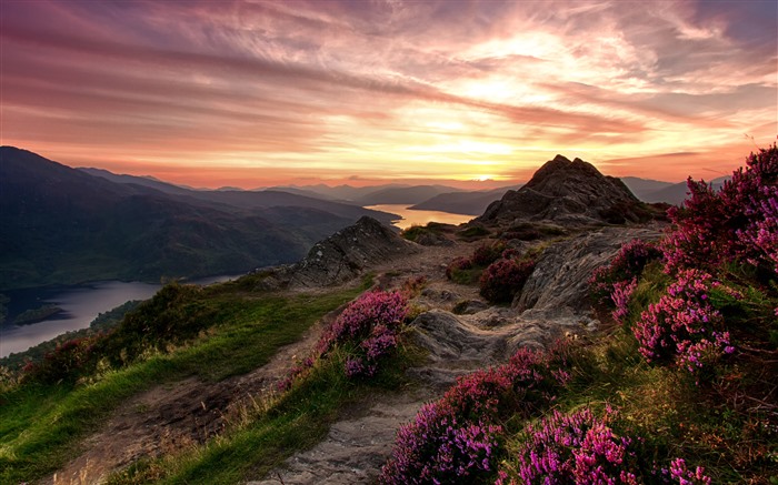 Montanhas, flores silvestres, 2021, paisagens naturais, 5K, fotos Visualizações:9260