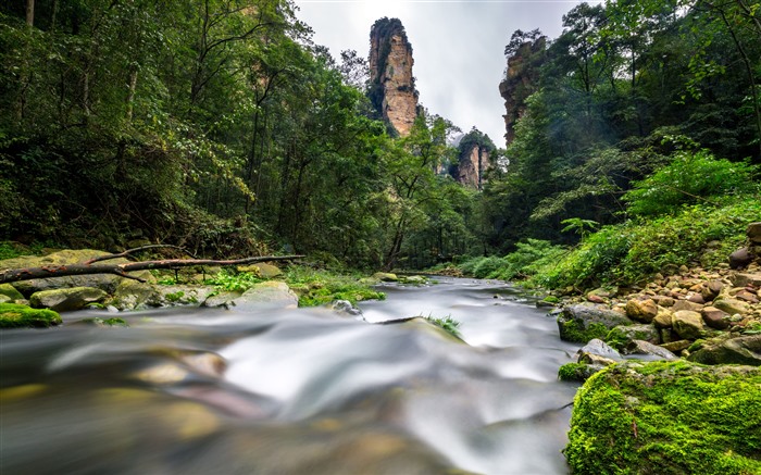 Zhangjiajie, Forest, River, 2021, Travel, China, 5K, Photo Visualizações:8642