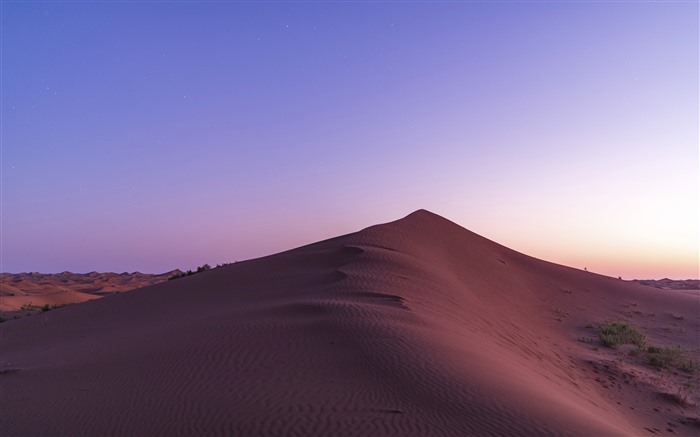 Mongólia Interior, Lago dos Cisnes, Deserto, 2021, Fotografia aérea Visualizações:5008