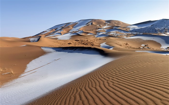 冬天,沙漠,第一場雪,2021,風景,高清,照片 查看次數:8045