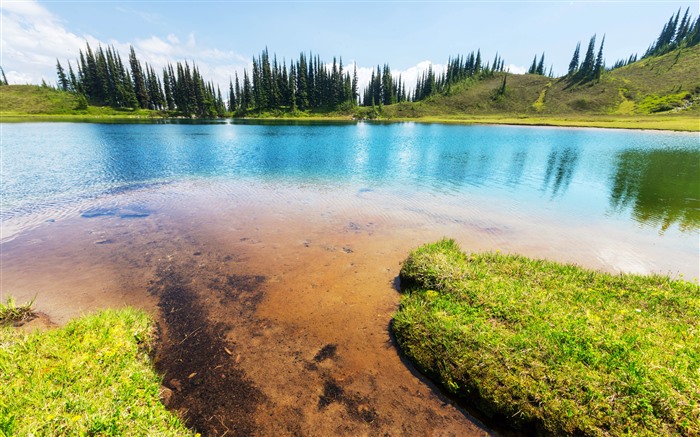 Bosque, Lago Glaciar, 2022, Washington, EE. UU., 5K, Foto Vistas:5278