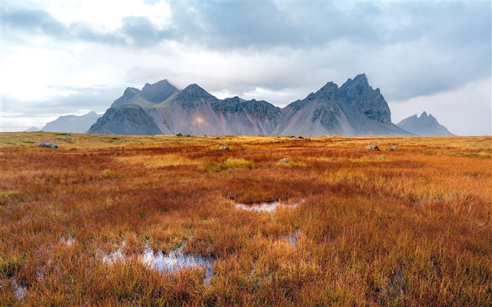 Humedal, Pastizales, 2021, Islandia, Oto?o, 4K, Foto Vistas:5406