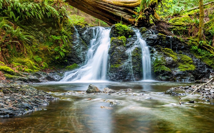 árbol marchito, cascada, 2022, bosque, arroyo, 4k, foto Vistas:7532