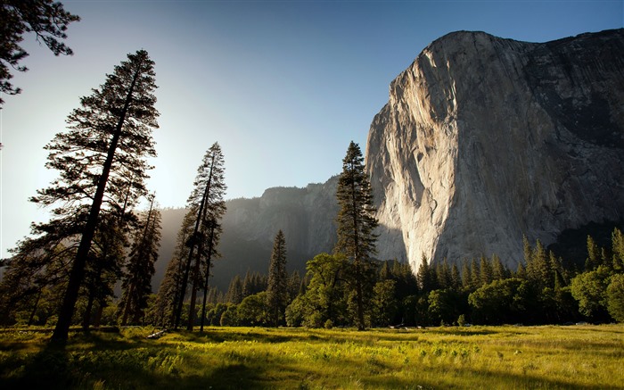 Parque Nacional de Yosemite, Bosque, 2022, EE. UU., 5K, foto Vistas:5729