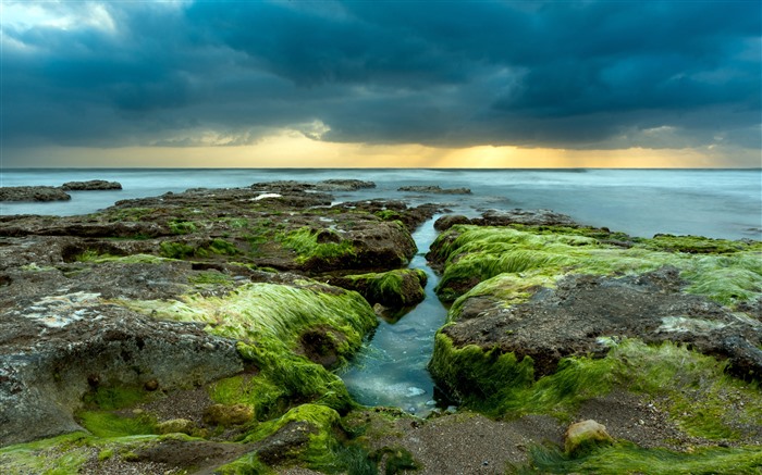 Costa,Recife,Alga marinha,2022,Oceano,Skyline,5K Visualizações:5074