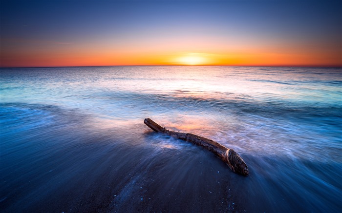 Ostsee, Bois mort, Coucher de soleil, Skyline, 5K, Photo Vues:4970