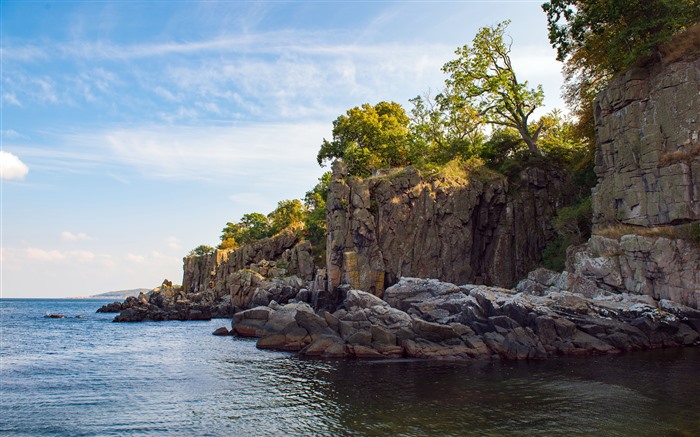 Mer, c?te, récif, roches, falaises, arbres, 5K Vues:6679