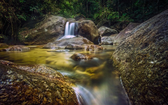 Primavera, jungla, arroyo, río, piedras, 5k, foto Vistas:4295