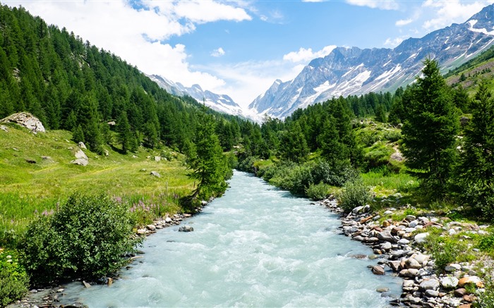 Jungle River Loetschental Blatten Switzerland 4K Views:7073 Date:2022/6/25 9:44:20