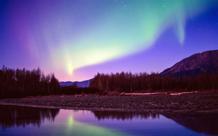 Jungle Lake Aurora Star Night View Alaska 5K Views:4265 Date:2022/10/30 2:56:43