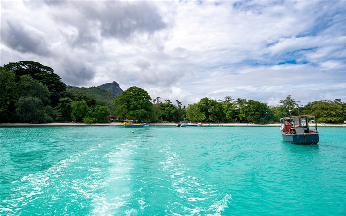 Côte, plage, voyage, île Mahe, Seychelles, 5K Vues:4220