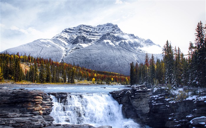 Athabasca Falls, Forest, Jasper, Canada, 5K Vues:4079