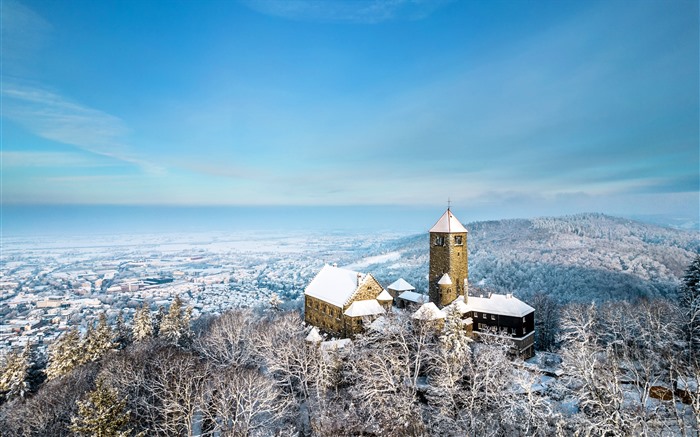 Floresta, castelo, inverno, Weinheim, Alemanha, 5k Visualizações:3405