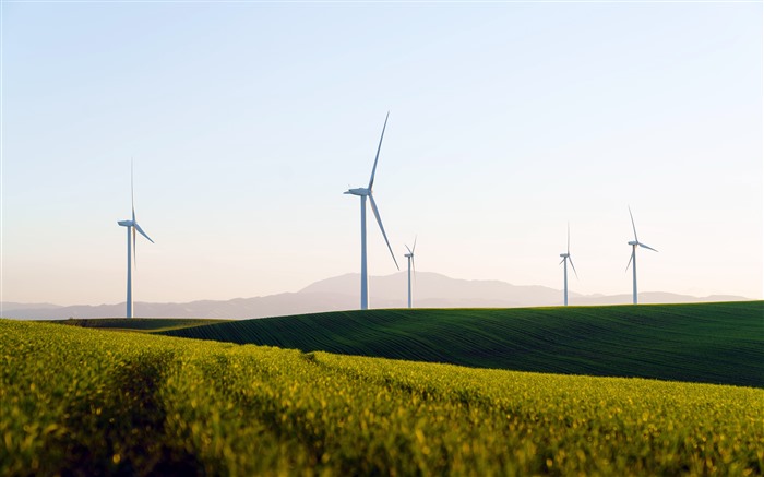 à l'extérieur, à l'herbe, à une nouvelle énergie, à l'énergie éolienne, 5k Vues:3534