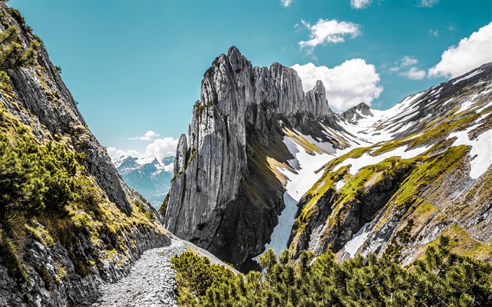 Montagnes de neige, pic, été, Suisse, 5K Vues:4605