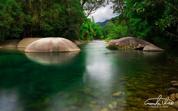 Jungle, Babinda Boulders, Queensland, Australie, 5K Vues:3951