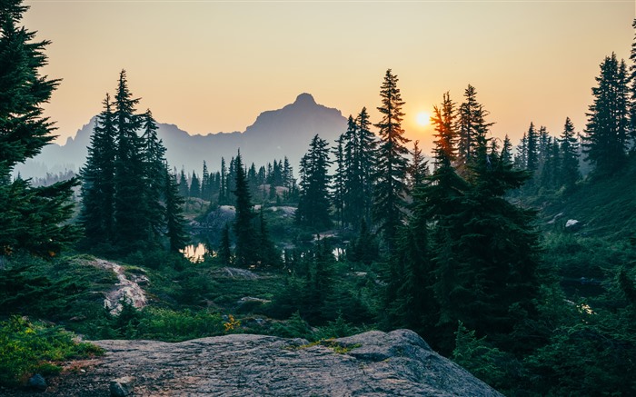 Rampart Lakes, Jungle, Sunrise, Morning, United States, 5K Vues:3810