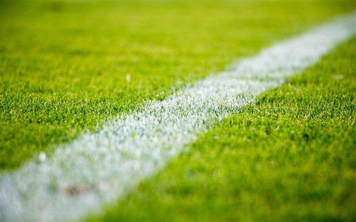 Fresh, verdure, herbe, terrain de football, macro, 5K Vues:3388